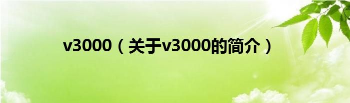 v3000（關(guān)于v3000的簡介）