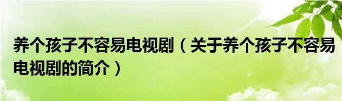 養(yǎng)個孩子不容易電視?。P于養(yǎng)個孩子不容易電視劇的簡介）