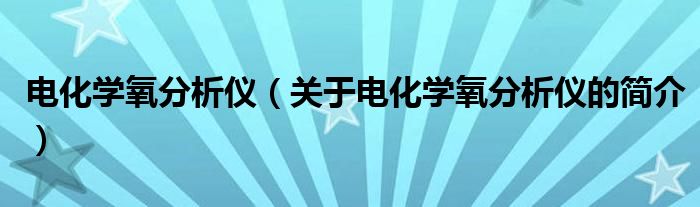 電化學氧分析儀（關(guān)于電化學氧分析儀的簡介）