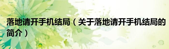 落地請開手機結局（關于落地請開手機結局的簡介）