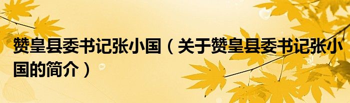 贊皇縣委書記張小國（關(guān)于贊皇縣委書記張小國的簡(jiǎn)介）