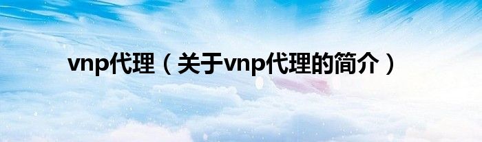 vnp代理（關(guān)于vnp代理的簡(jiǎn)介）