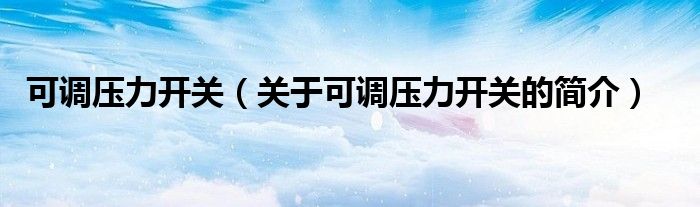 可調壓力開關（關于可調壓力開關的簡介）