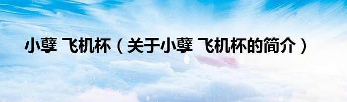 小孽 飛機(jī)杯（關(guān)于小孽 飛機(jī)杯的簡介）