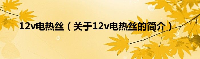 12v電熱絲（關(guān)于12v電熱絲的簡介）