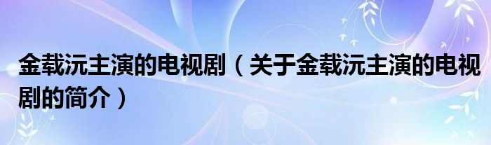 金載沅主演的電視?。P(guān)于金載沅主演的電視劇的簡介）