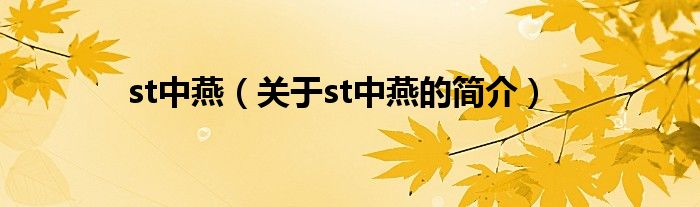 st中燕（關(guān)于st中燕的簡介）