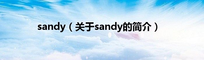 sandy（關(guān)于sandy的簡介）