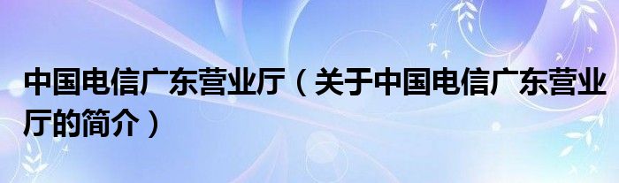 中國電信廣東營業(yè)廳（關(guān)于中國電信廣東營業(yè)廳的簡介）