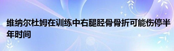 維納爾杜姆在訓練中右腿脛骨骨折可能傷停半年時間