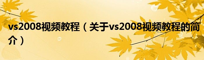 vs2008視頻教程（關于vs2008視頻教程的簡介）