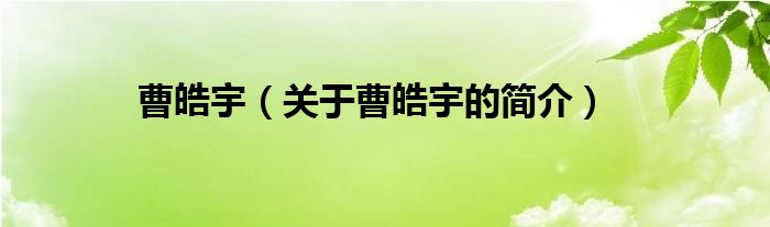 曹皓宇（關(guān)于曹皓宇的簡(jiǎn)介）