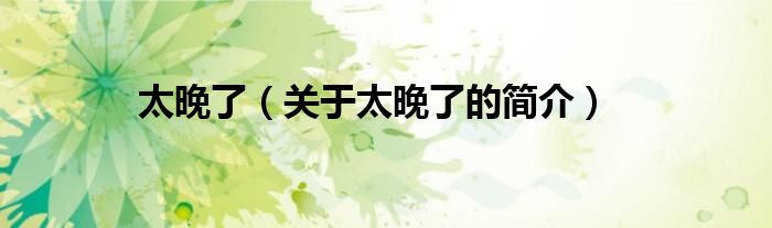 太晚了（關(guān)于太晚了的簡(jiǎn)介）