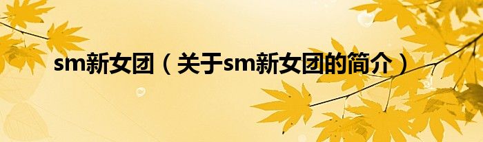 sm新女團（關(guān)于sm新女團的簡介）