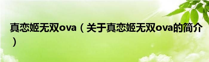 真戀姬無雙ova（關(guān)于真戀姬無雙ova的簡(jiǎn)介）