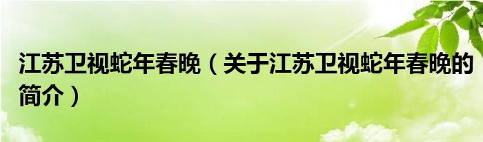 江蘇衛(wèi)視蛇年春晚（關(guān)于江蘇衛(wèi)視蛇年春晚的簡介）