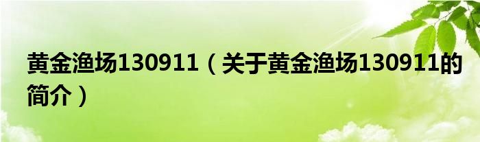 黃金漁場130911（關(guān)于黃金漁場130911的簡介）