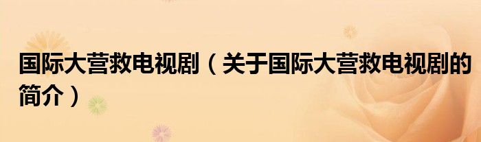 國際大營救電視?。P(guān)于國際大營救電視劇的簡介）