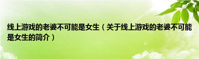 線上游戲的老婆不可能是女生（關于線上游戲的老婆不可能是女生的簡介）