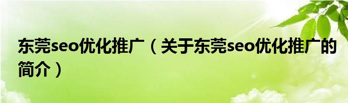 東莞seo優(yōu)化推廣（關于東莞seo優(yōu)化推廣的簡介）