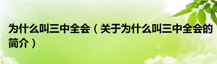 為什么叫三中全會(huì)（關(guān)于為什么叫三中全會(huì)的簡介）