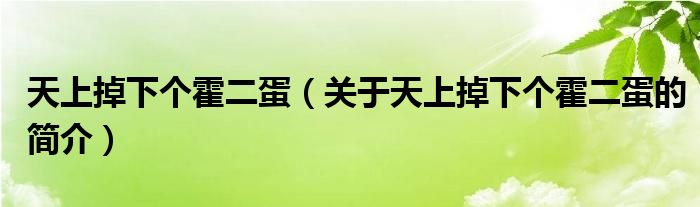 天上掉下個(gè)霍二蛋（關(guān)于天上掉下個(gè)霍二蛋的簡(jiǎn)介）