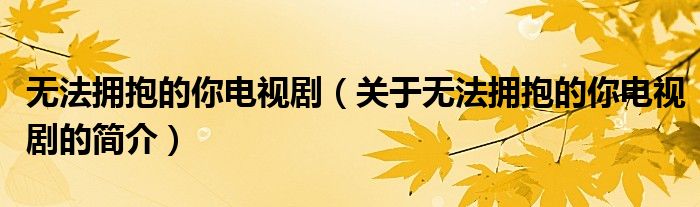 無法擁抱的你電視?。P于無法擁抱的你電視劇的簡介）