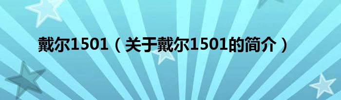 戴爾1501（關(guān)于戴爾1501的簡(jiǎn)介）