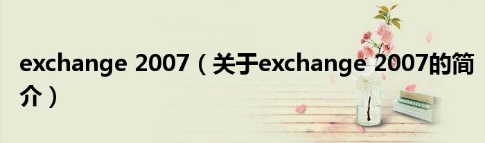 exchange 2007（關(guān)于exchange 2007的簡(jiǎn)介）