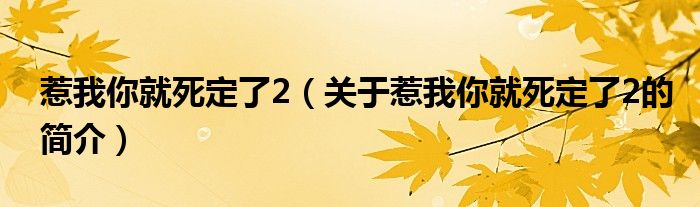 惹我你就死定了2（關(guān)于惹我你就死定了2的簡(jiǎn)介）