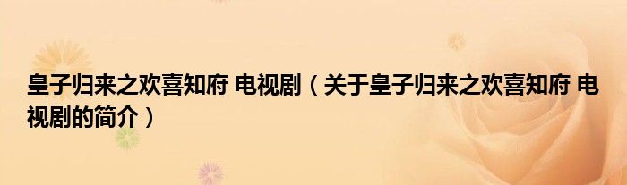 皇子歸來之歡喜知府 電視?。P(guān)于皇子歸來之歡喜知府 電視劇的簡介）