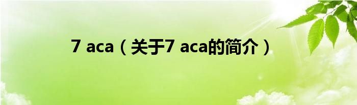 7 aca（關(guān)于7 aca的簡(jiǎn)介）