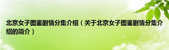 北京女子圖鑒劇情分集介紹（關于北京女子圖鑒劇情分集介紹的簡介）