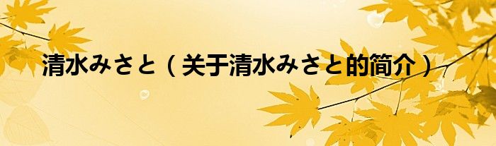 清水みさと（關于清水みさと的簡介）