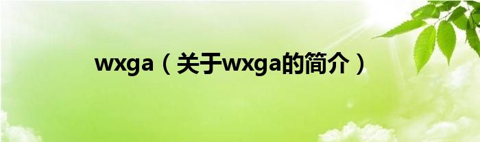 wxga（關(guān)于wxga的簡(jiǎn)介）