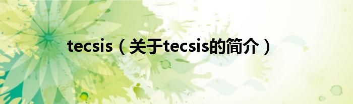 tecsis（關(guān)于tecsis的簡介）