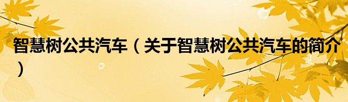 智慧樹公共汽車（關(guān)于智慧樹公共汽車的簡(jiǎn)介）