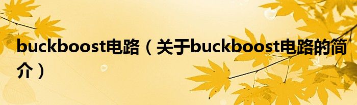 buckboost電路（關(guān)于buckboost電路的簡(jiǎn)介）