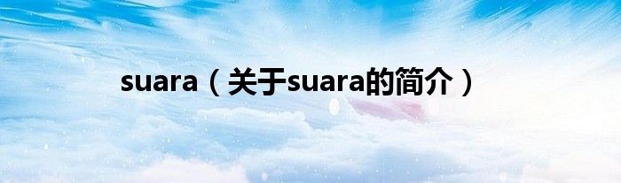 suara（關(guān)于suara的簡(jiǎn)介）