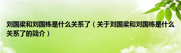 劉國(guó)梁和劉國(guó)棟是什么關(guān)系了（關(guān)于劉國(guó)梁和劉國(guó)棟是什么關(guān)系了的簡(jiǎn)介）