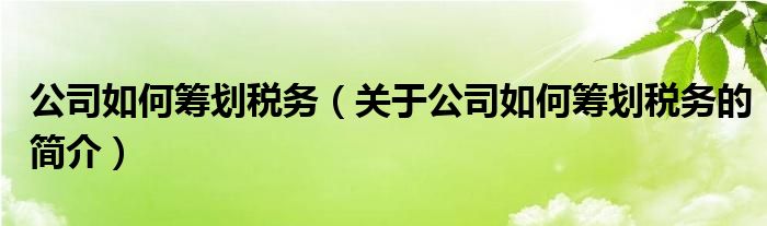 公司如何籌劃稅務(wù)（關(guān)于公司如何籌劃稅務(wù)的簡(jiǎn)介）