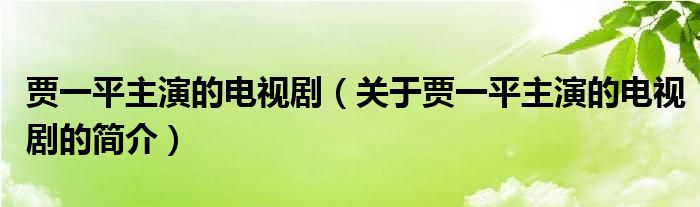 賈一平主演的電視劇（關(guān)于賈一平主演的電視劇的簡(jiǎn)介）