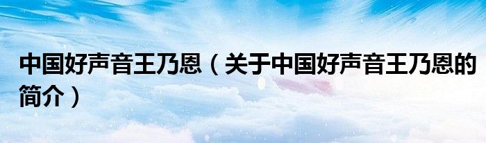 中國好聲音王乃恩（關于中國好聲音王乃恩的簡介）