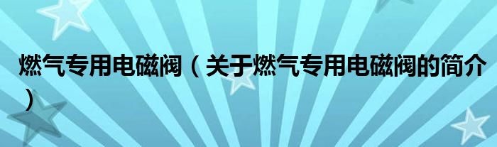 燃?xì)鈱Ｓ秒姶砰y（關(guān)于燃?xì)鈱Ｓ秒姶砰y的簡(jiǎn)介）