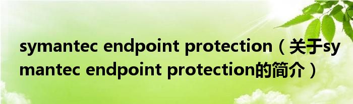 symantec endpoint protection（關于symantec endpoint protection的簡介）