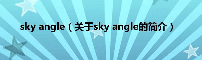 sky angle（關(guān)于sky angle的簡(jiǎn)介）