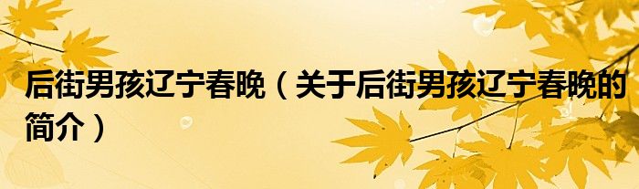 后街男孩遼寧春晚（關(guān)于后街男孩遼寧春晚的簡介）