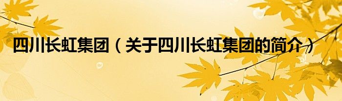 四川長虹集團（關于四川長虹集團的簡介）