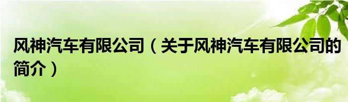 風神汽車有限公司（關于風神汽車有限公司的簡介）