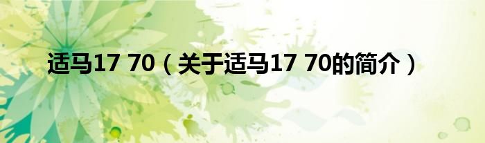 適馬17 70（關(guān)于適馬17 70的簡介）